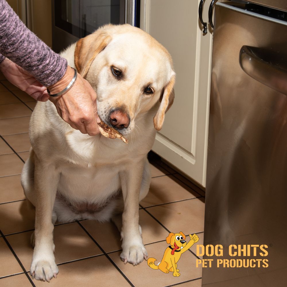 Lamb Lung Fillet Treats for Dogs - 10 oz from Dog Chits Pet Products