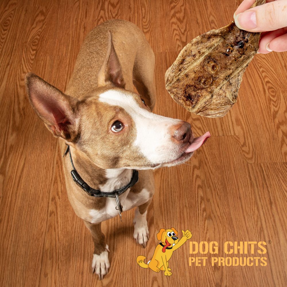 Lamb Lung Fillet Treats for Dogs - 10 oz from Dog Chits Pet Products