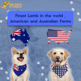 Lamb Lung Fillet Treats for Dogs - 10 oz from Dog Chits Pet Products
