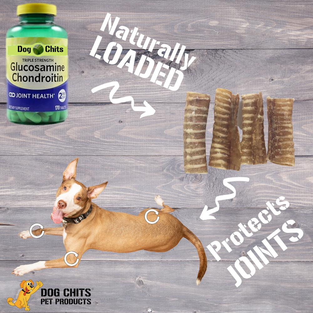 Beef Trachea for Dogs, 8 - 6 Inch Pieces from Dog Chits Pet Products