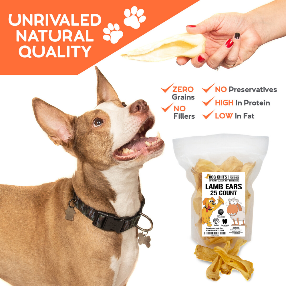 Lamb Ears for Dogs, Large - 25 Pack from Dog Chits Pet Products