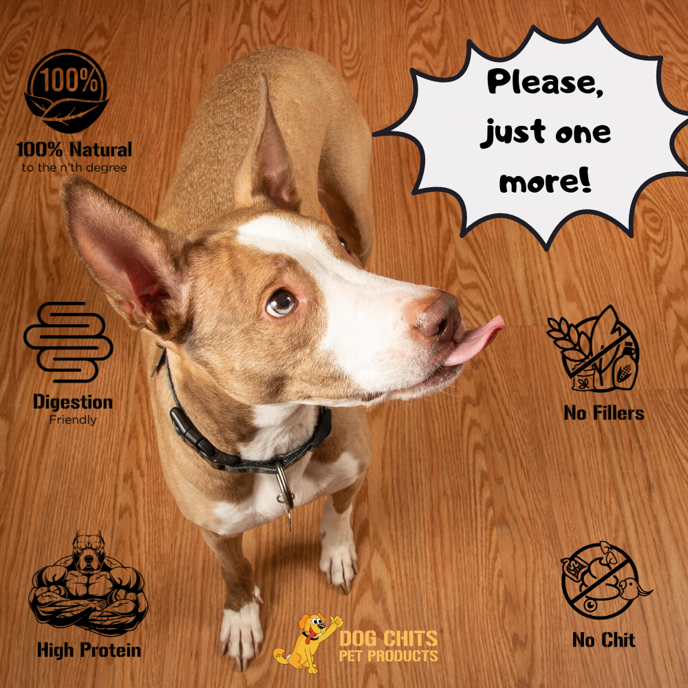 Lamb Ears for Dogs, Large - 25 Pack from Dog Chits Pet Products