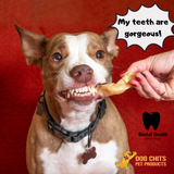 Lamb Ears for Dogs, Large - 25 Pack from Dog Chits Pet Products