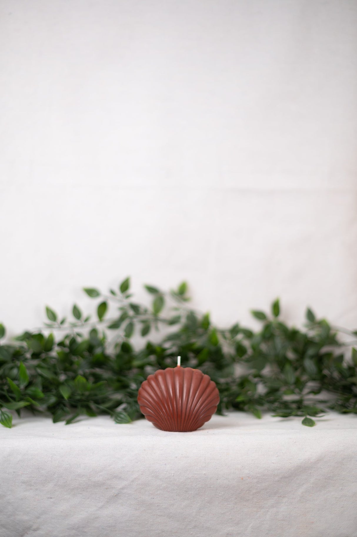 Shell Candle Collection from Shop Restyled