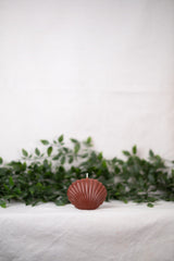 Shell Candle Collection from Shop Restyled