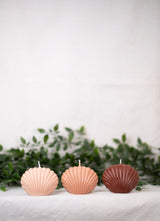 Shell Candle Collection from Shop Restyled