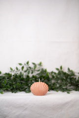 Shell Candle Collection from Shop Restyled