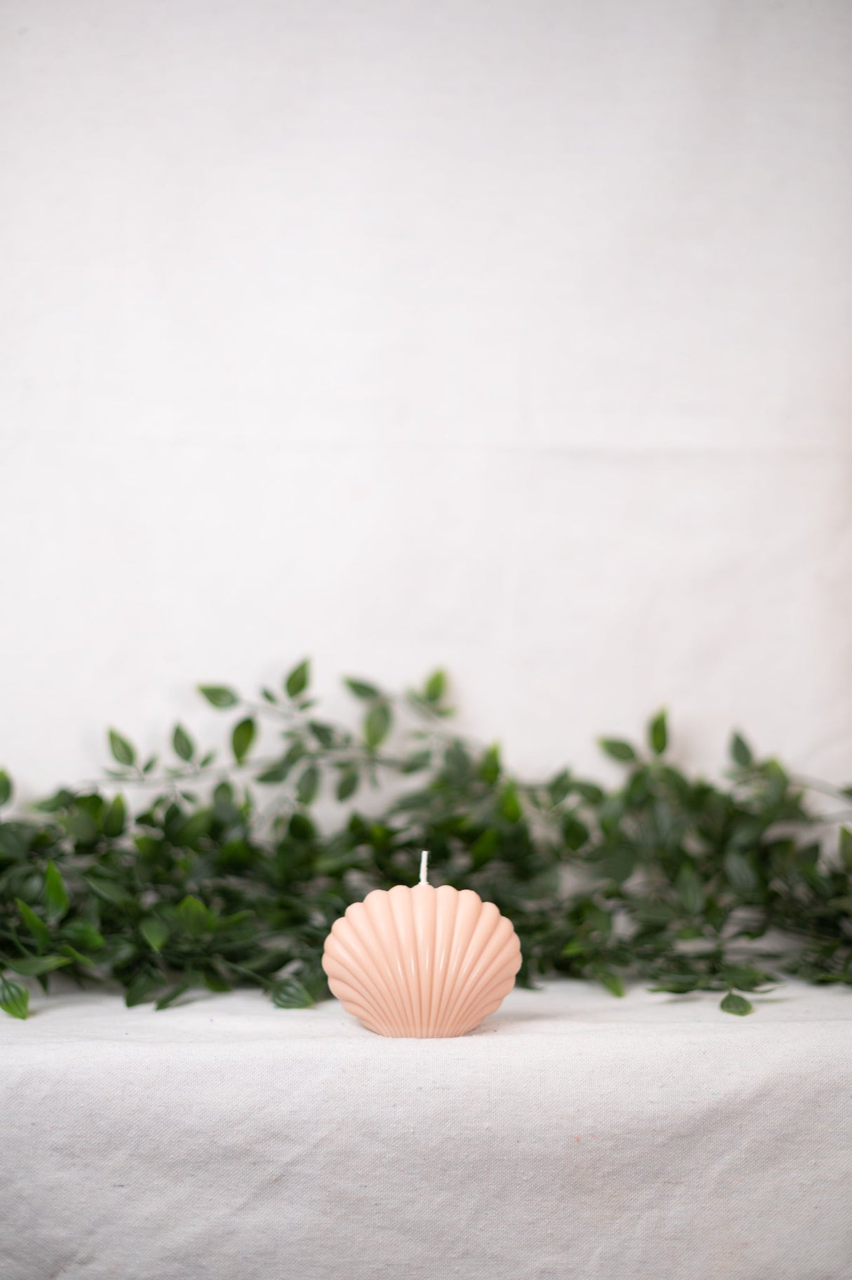 Shell Candle Collection from Shop Restyled