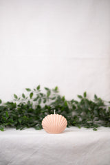 Shell Candle Collection from Shop Restyled