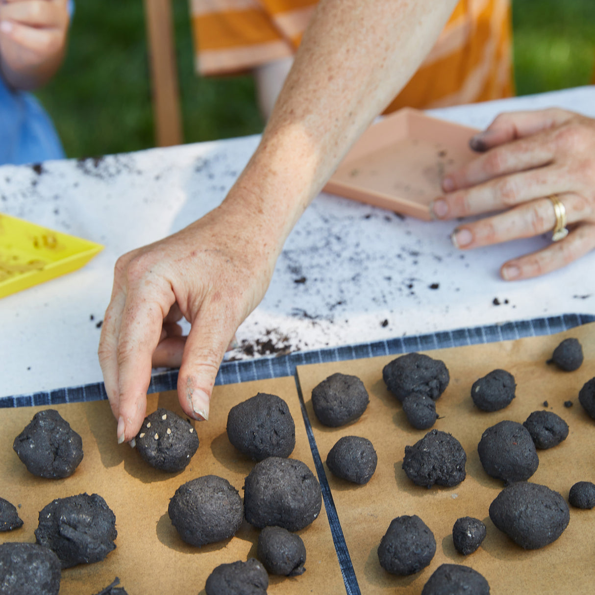 Seed Ball Kits from Modern Sprout