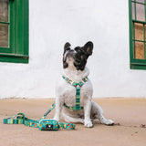 Frenchie Comfort Leash - Taco Tuesday- Green from Frenchie Bulldog