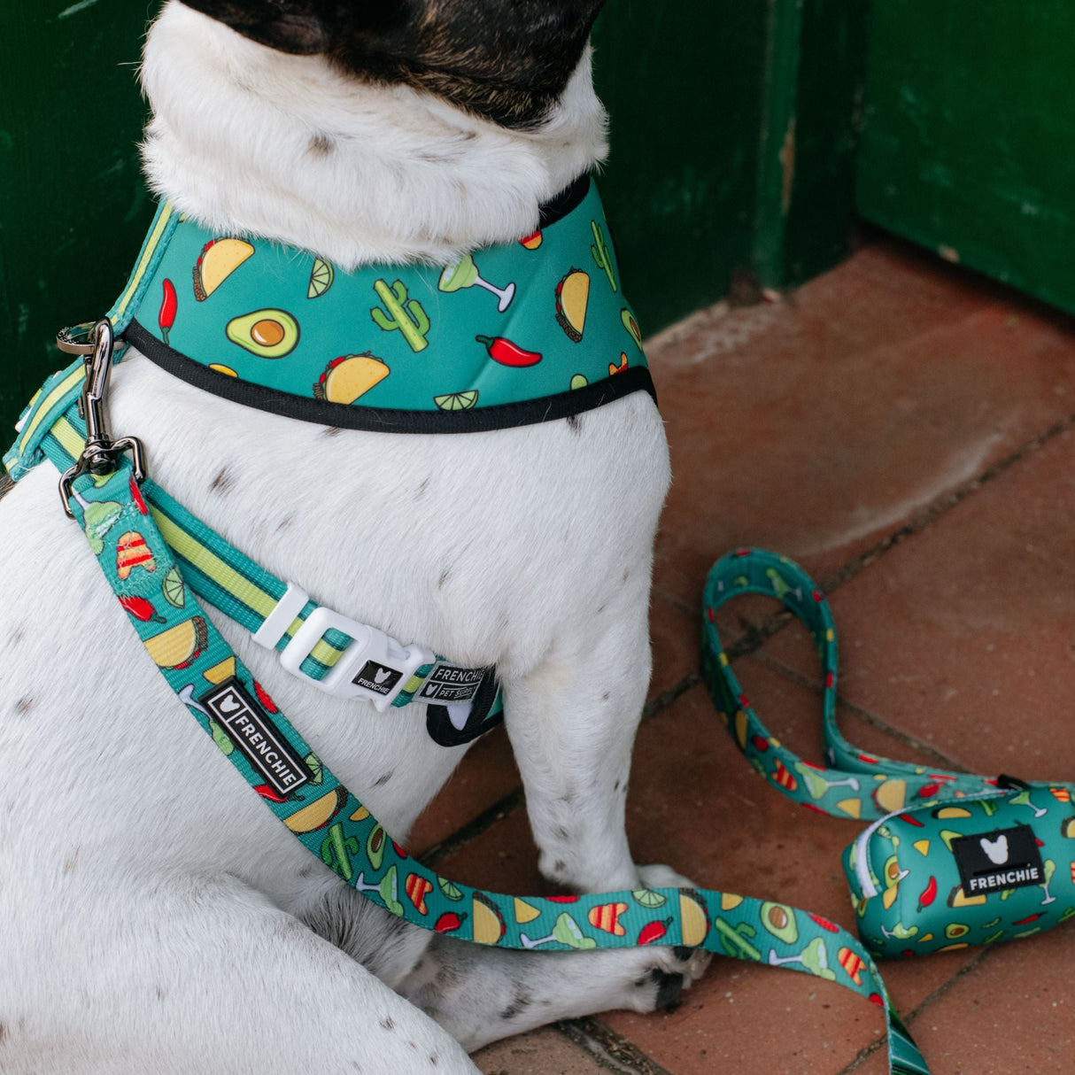 Frenchie Comfort Leash - Taco Tuesday- Green from Frenchie Bulldog