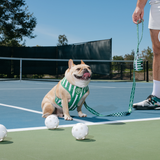 Frenchie Duo Reversible Harness - Pickleball from Frenchie Bulldog