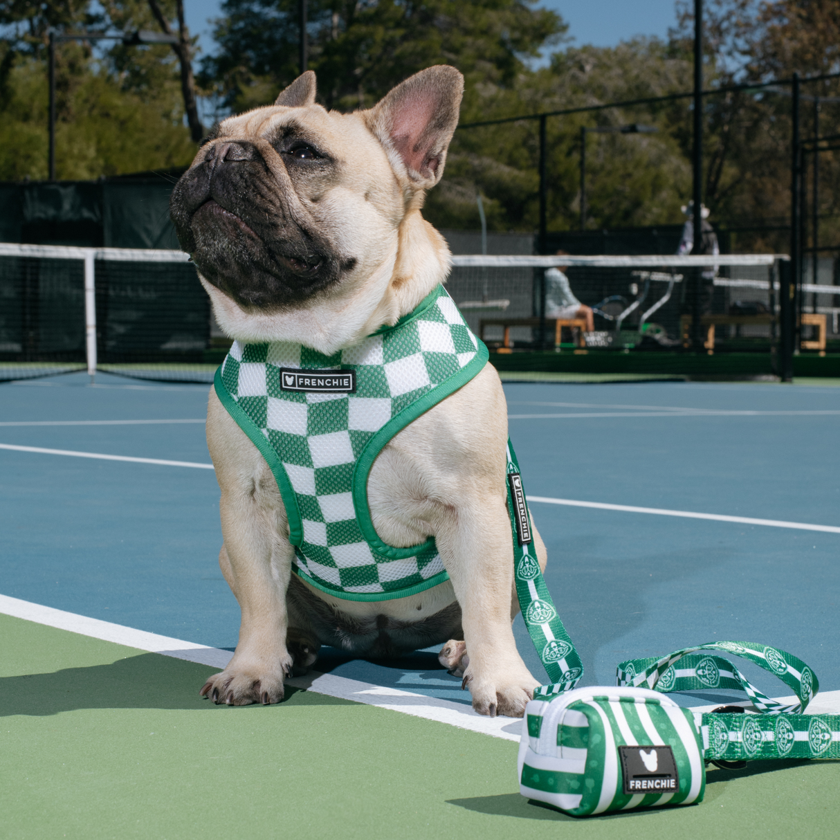 Frenchie Duo Reversible Harness - Pickleball from Frenchie Bulldog