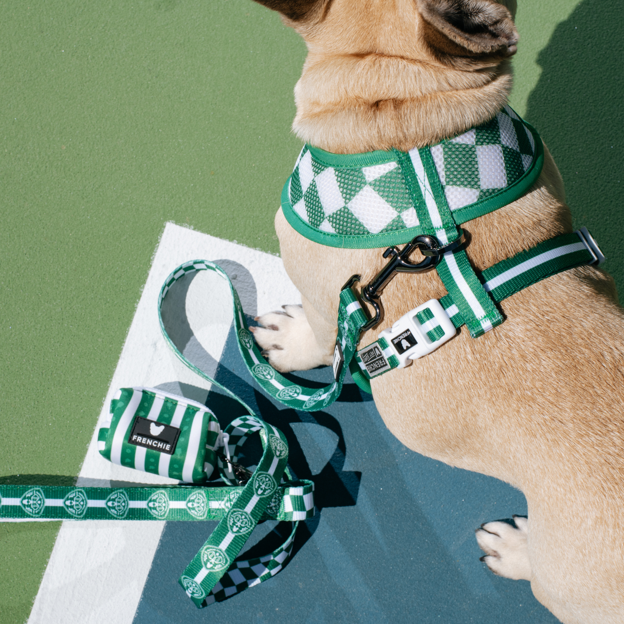 Frenchie Duo Reversible Harness - Pickleball from Frenchie Bulldog