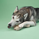 BetterBone MEDIUM Durability CHEW TOY: Perfect Chew for Everyday Chewers | Natural Ingredients, Eco-Friendly, Non-Toxic from BetterBone All Natural Eco-Friendly Dog Chews & Bones