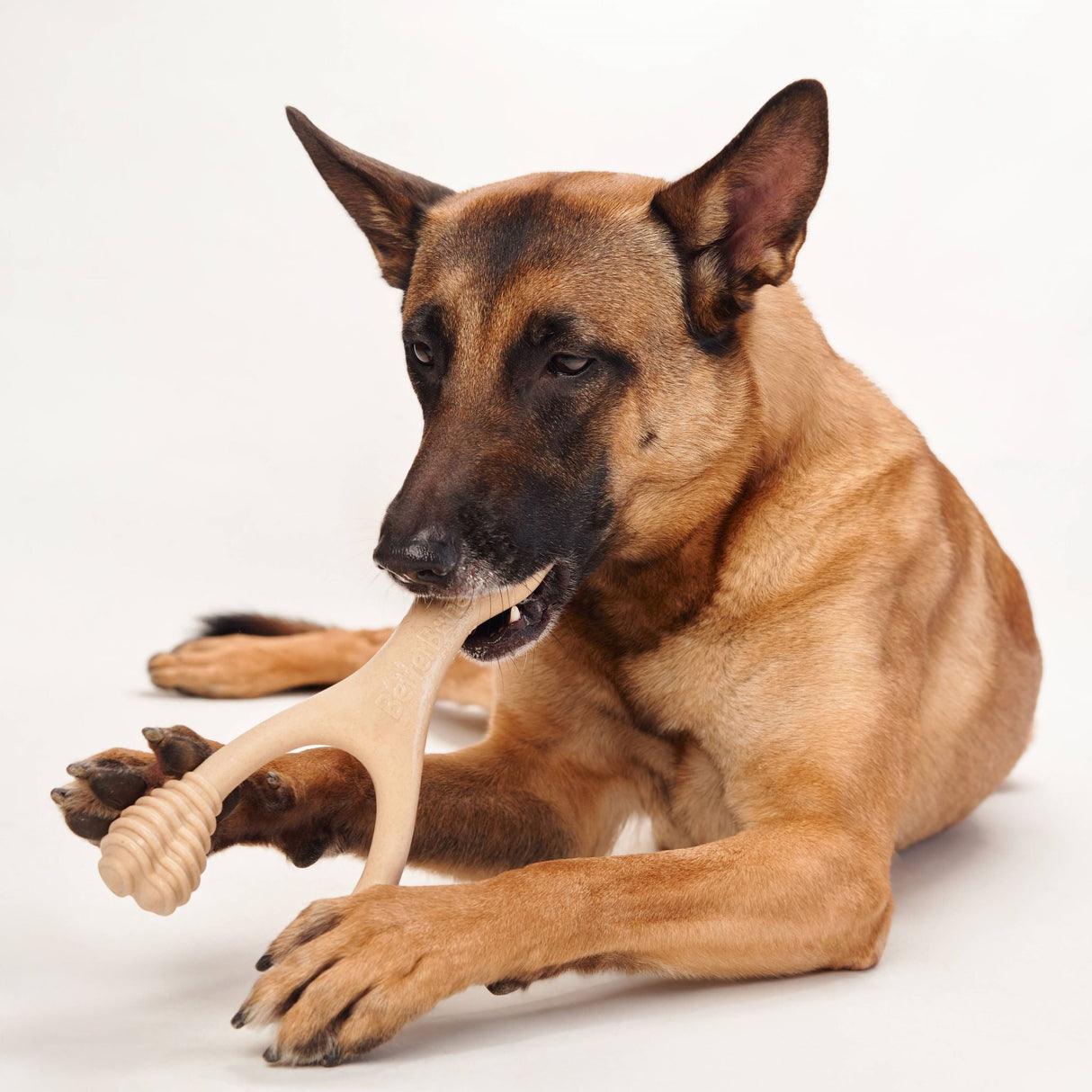 BetterBone MEDIUM Durability CHEW TOY: Perfect Chew for Everyday Chewers | Natural Ingredients, Eco-Friendly, Non-Toxic from BetterBone All Natural Eco-Friendly Dog Chews & Bones