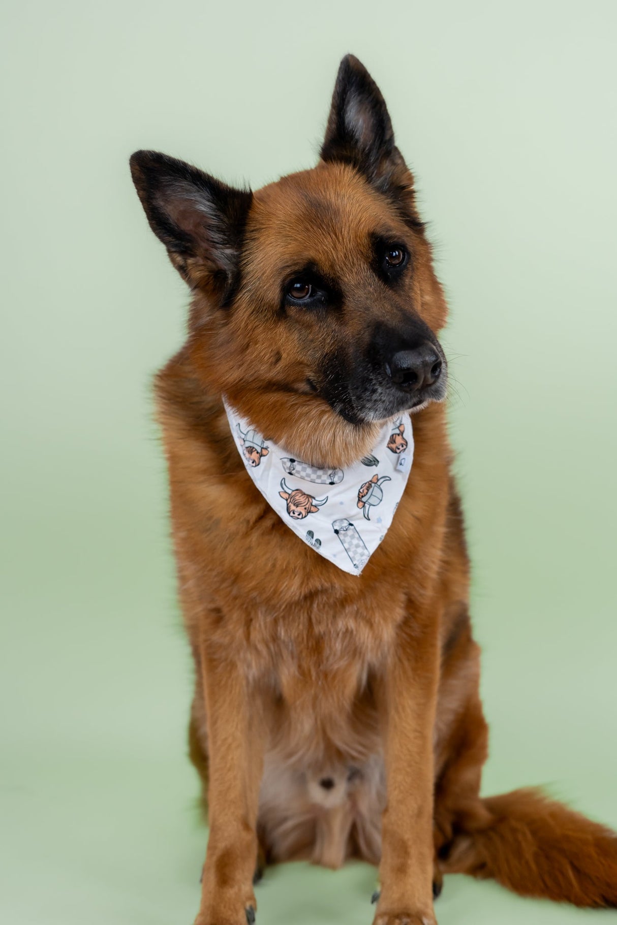 EXCLUSIVE MOO-VING FAST DREAM DOG BANDANA from DREAM BIG LITTLE CO