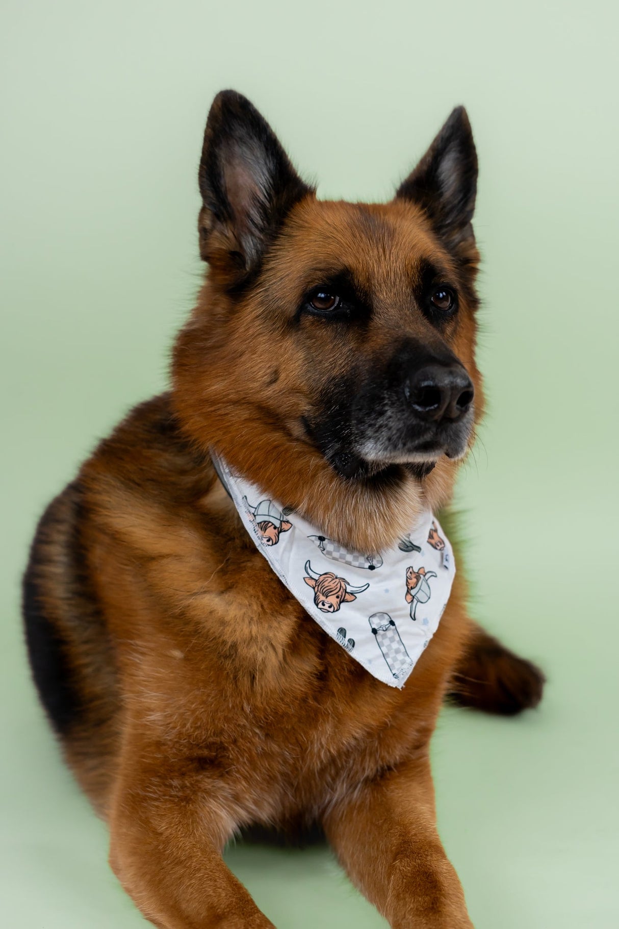 EXCLUSIVE MOO-VING FAST DREAM DOG BANDANA from DREAM BIG LITTLE CO