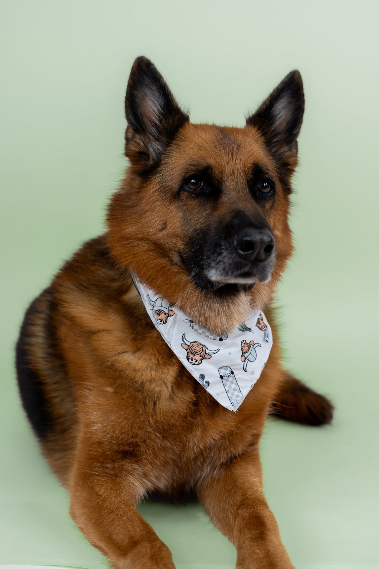 EXCLUSIVE MOO-VING FAST DREAM DOG BANDANA from DREAM BIG LITTLE CO
