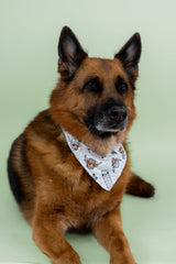 EXCLUSIVE MOO-VING FAST DREAM DOG BANDANA from DREAM BIG LITTLE CO
