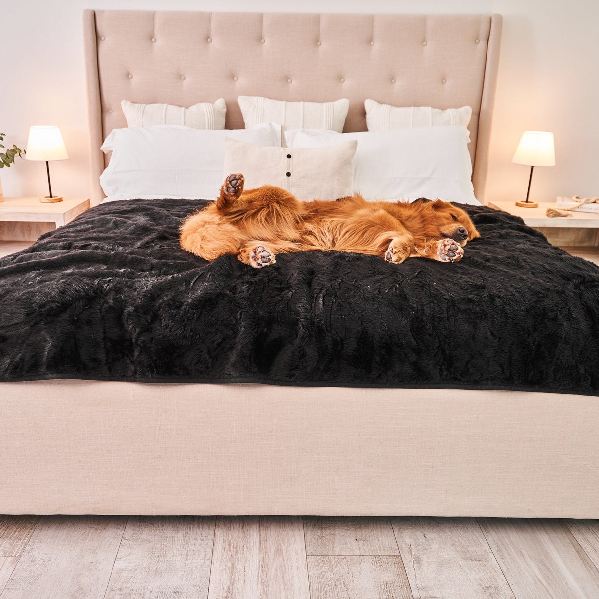 PupProtector™ Summer Short Fur Waterproof Throw Blanket - Midnight Black from Paw.com