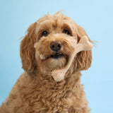 BetterBone SOFT Durability CHEW TOY: Natural Ingredients, Perfet for Teething Puppies, Senior Dogs & Gentle Chewers from BetterBone All Natural Eco-Friendly Dog Chews & Bones