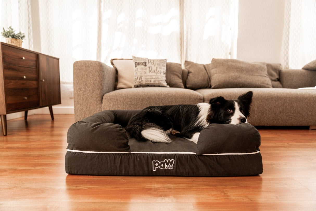 PupLounge™ Memory Foam Dog Bed Cover - Charcoal Grey (Bed Not Included) - Small From Paw.com