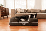 PupLounge™ Memory Foam Dog Bed Cover - Charcoal Grey (Bed Not Included) - Small From Paw.com