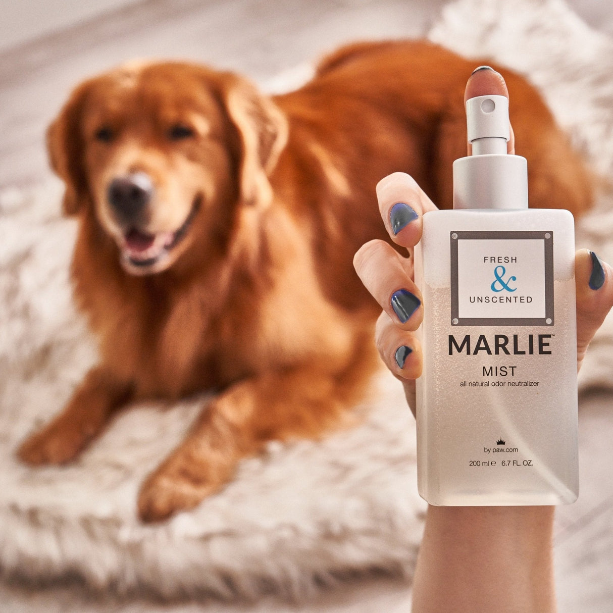 Marlie Mist Pet Odor Eliminator Spray with Essential Oils from Paw.com