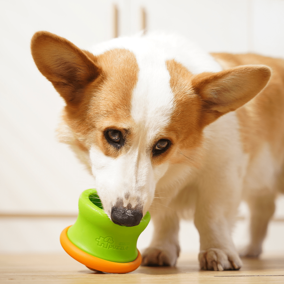 Dog Puzzle Tumbler M - Puzzle Feeder Enrichment Toy (for S/M Breeds) From PuzzleFeeder - Slower than a slow feeder