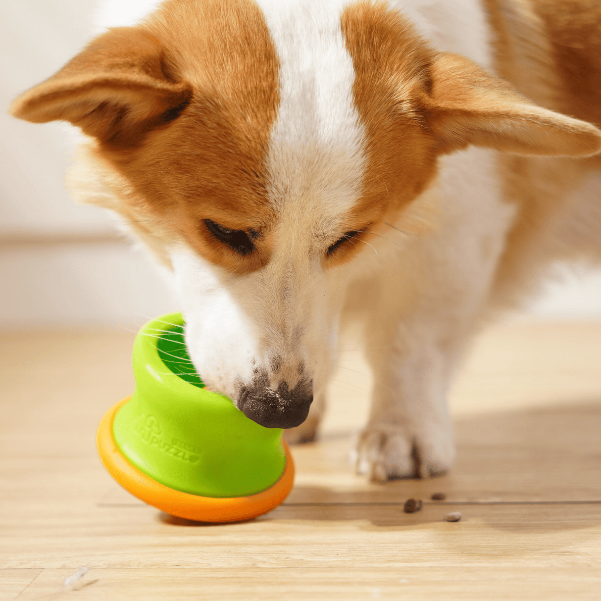 Dog Puzzle Tumbler M - Puzzle Feeder Enrichment Toy (for S/M Breeds) From PuzzleFeeder - Slower than a slow feeder