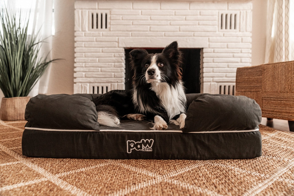 PupLounge™ Memory Foam Dog Bed Cover - Charcoal Grey (Bed Not Included) - Small From Paw.com