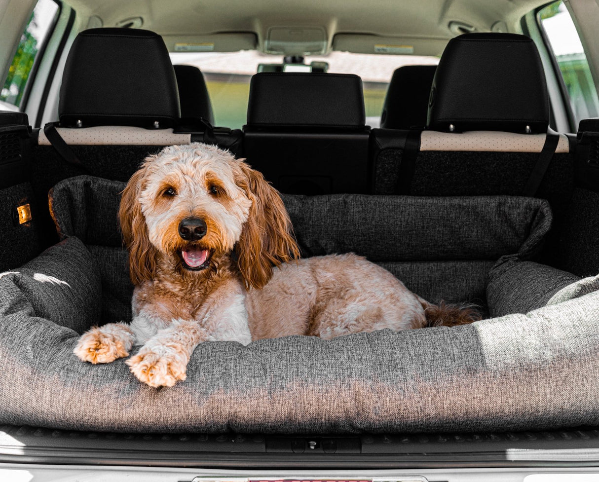 PupProtector™ Memory Foam Dog Car Bed From Paw.com