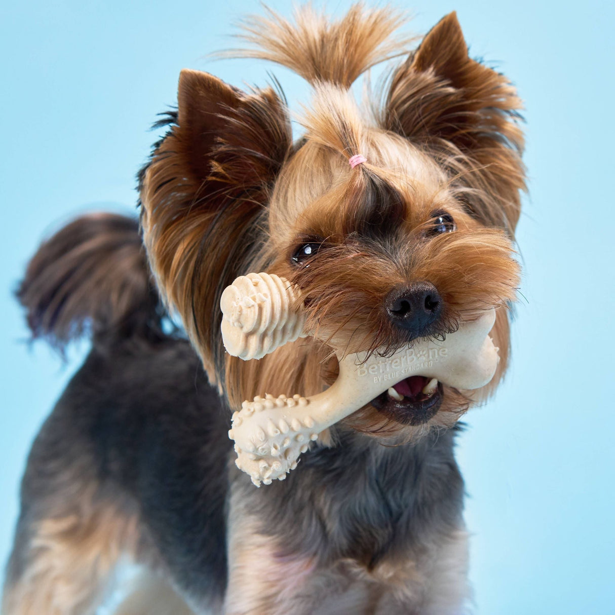 BetterBone SOFT Durability CHEW TOY: Natural Ingredients, Perfet for Teething Puppies, Senior Dogs & Gentle Chewers from BetterBone All Natural Eco-Friendly Dog Chews & Bones
