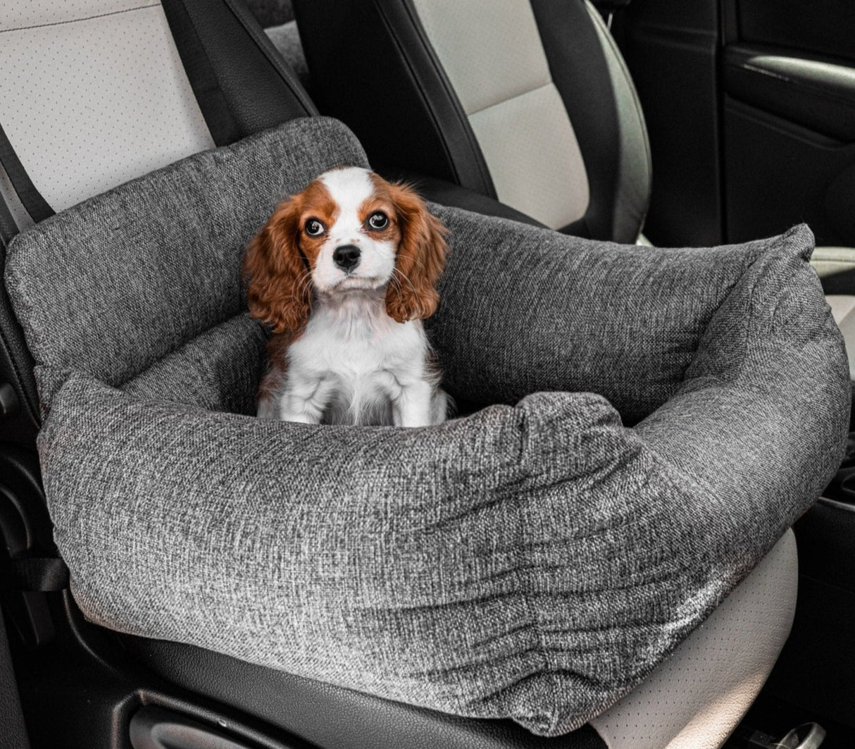PupProtector™ Memory Foam Dog Car Bed From Paw.com