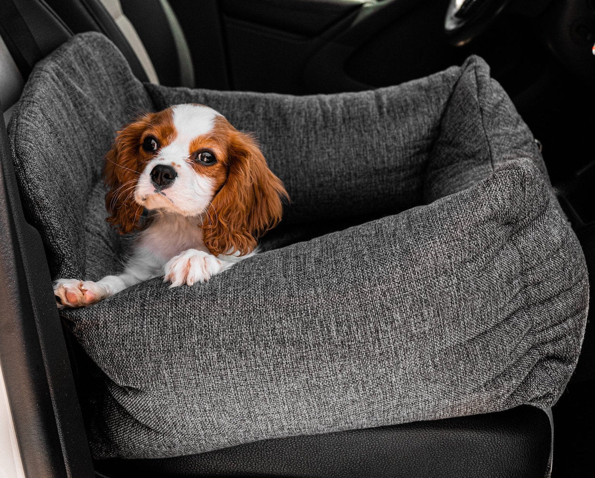 PupProtector™ Memory Foam Dog Car Bed From Paw.com