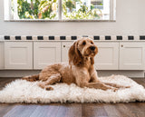 PupRug by Paw.com™ Portable Orthopedic Dog Bed - White with Brown Accents from Paw.com