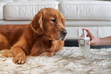 Marlie Mist Pet Odor Eliminator Spray with Essential Oils from Paw.com