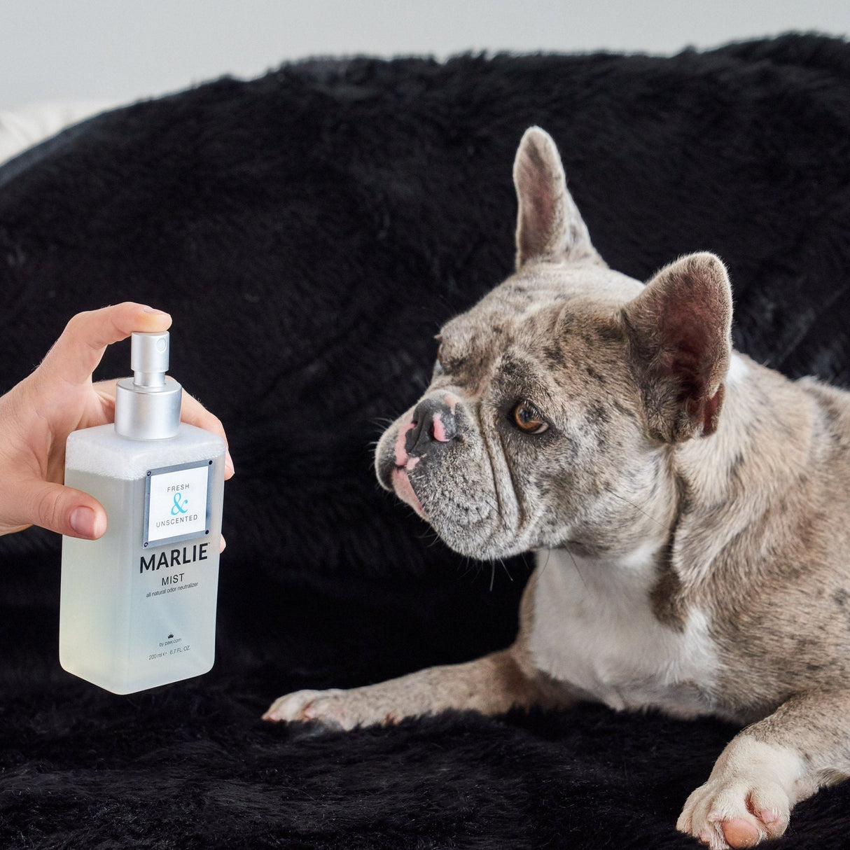 Marlie Mist Pet Odor Eliminator Spray with Essential Oils from Paw.com