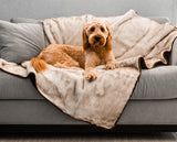 PupProtector™ Summer Short Fur Waterproof Throw Blanket - White with Brown Accents from Paw.com