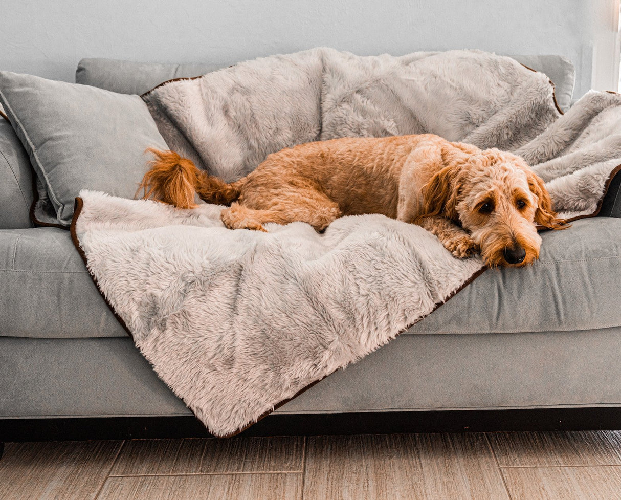 PupProtector™ Summer Short Fur Waterproof Throw Blanket - Grey from Paw.com