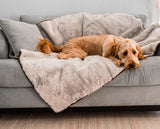 PupProtector™ Summer Short Fur Waterproof Throw Blanket - Grey from Paw.com
