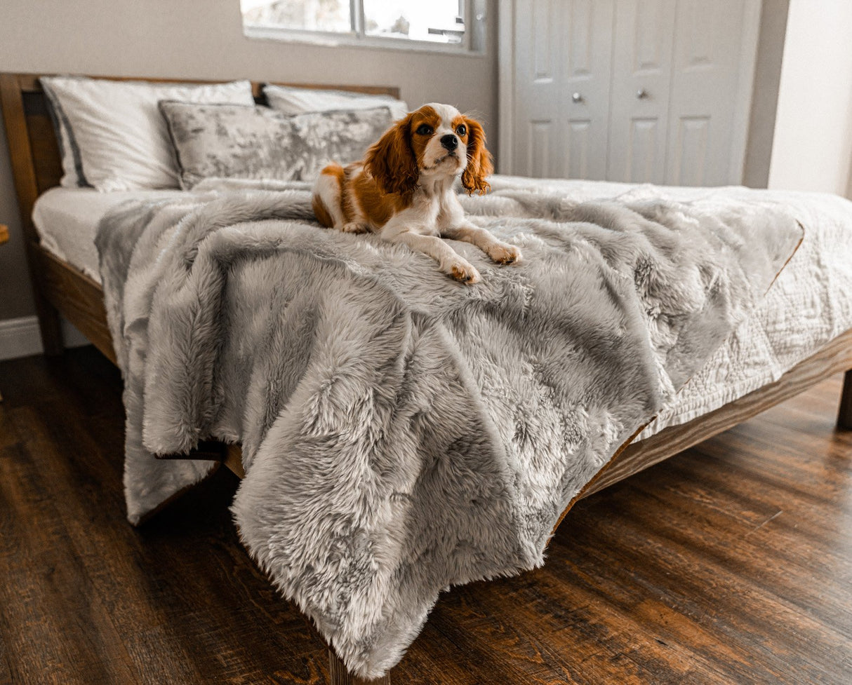 PupProtector™ Summer Short Fur Waterproof Throw Blanket - Grey from Paw.com