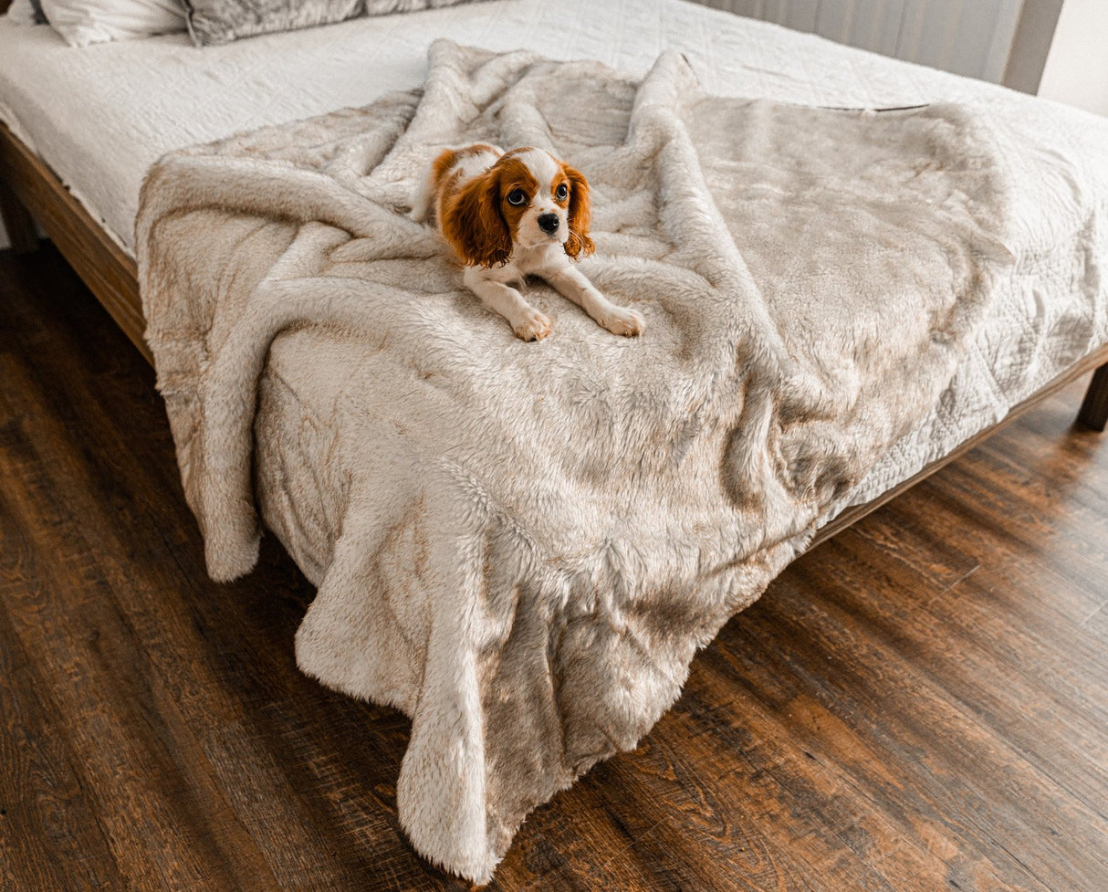 PupProtector™ Summer Short Fur Waterproof Throw Blanket - White with Brown Accents from Paw.com