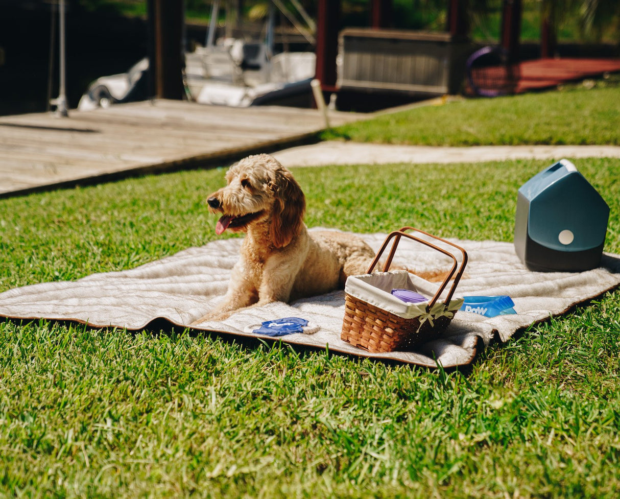 PupProtector™ Summer Short Fur Waterproof Throw Blanket - White with Brown Accents from Paw.com