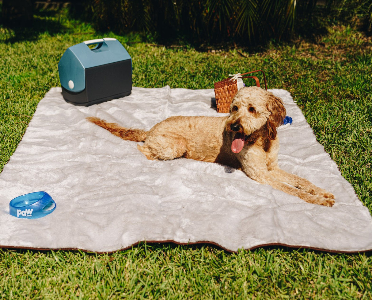 PupProtector™ Summer Short Fur Waterproof Throw Blanket - Grey from Paw.com