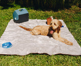PupProtector™ Summer Short Fur Waterproof Throw Blanket - Grey from Paw.com