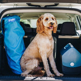 PupRug by Paw.com™ Portable Orthopedic Dog Bed - Grey from Paw.com