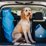 PupRug by Paw.com™ Portable Orthopedic Dog Bed - White with Brown Accents from Paw.com